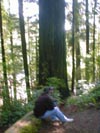 more Sequoia Park